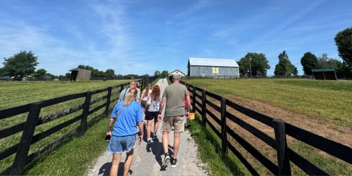 tour at Old Friends Thoroughbred Retirement Farm in KY