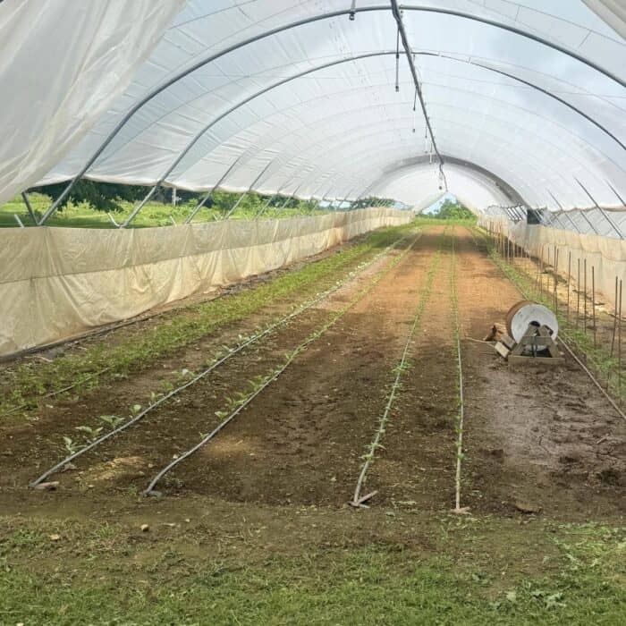 tour of Elmwood Stock Farm Georgetown KY
