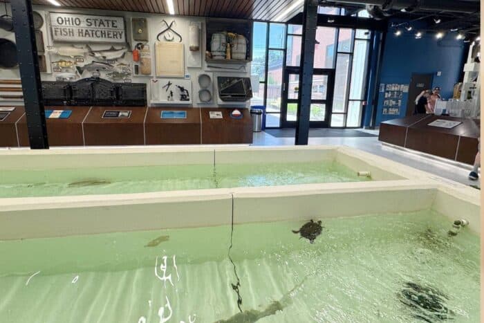 Aquatic Visitor Center Put-in-Island