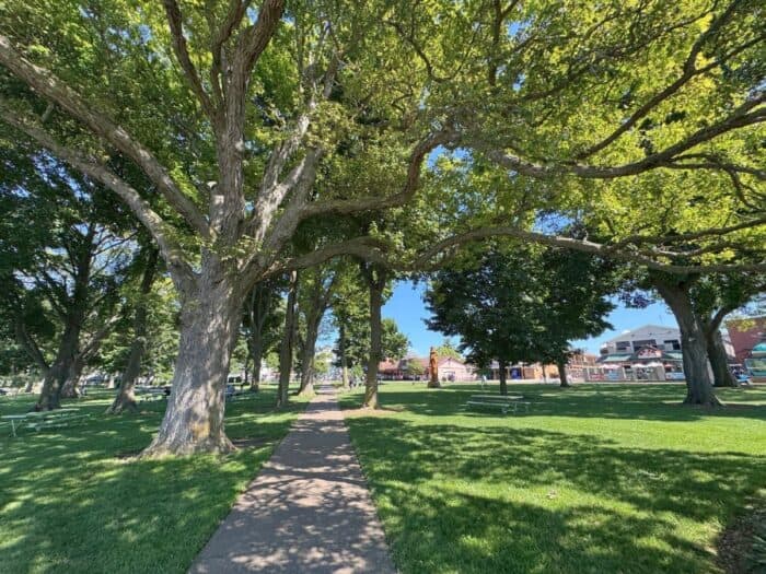 DeRivera Park Put-in-Island in Ohio