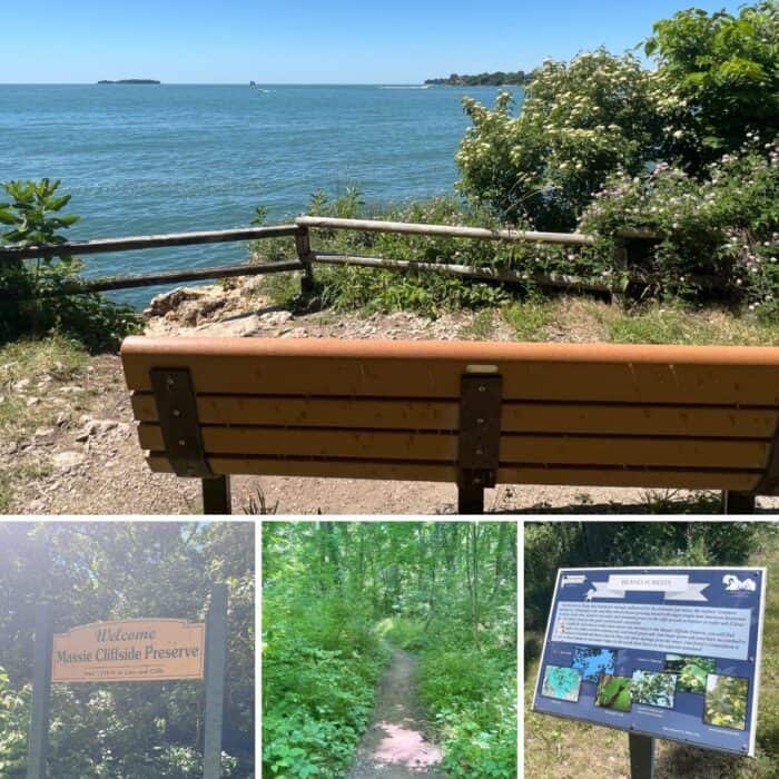 Massie Cliffside Preserve Put in Bay Island