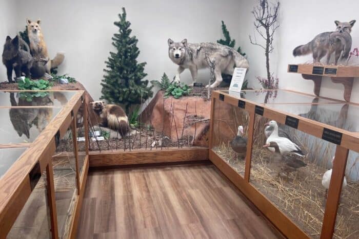 exhibit at Lake Erie Island Nature And Wildlife Center Put-in-Island