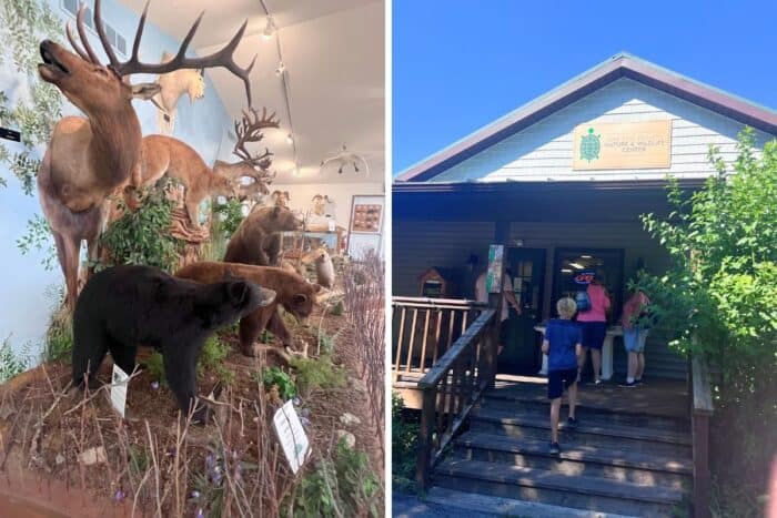 exhibit at Lake Erie Island Nature And Wildlife Center Put-in-Island