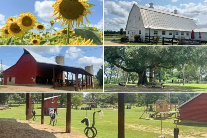 Braehead Farm in Virginia