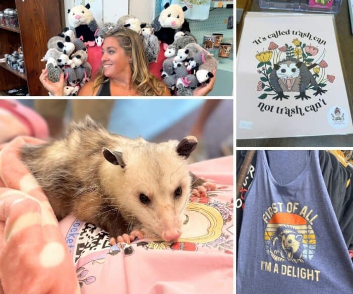 Possum-bilities Fredericksburg VA