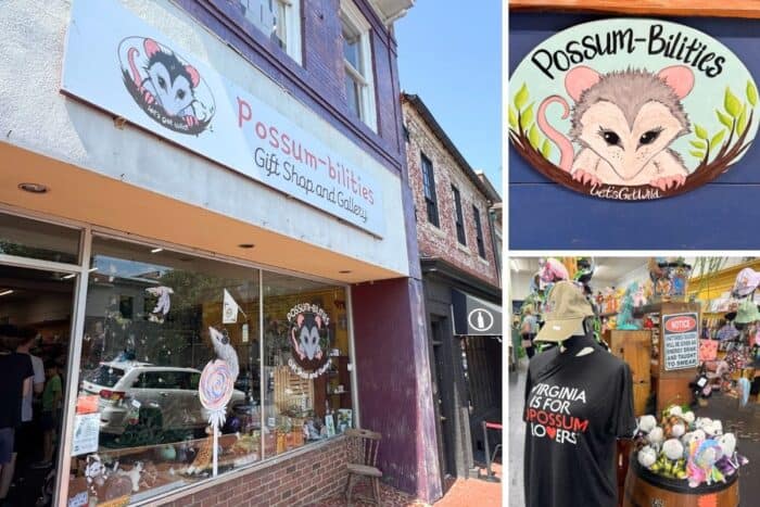 Possum-bilities Fredericksburg VA