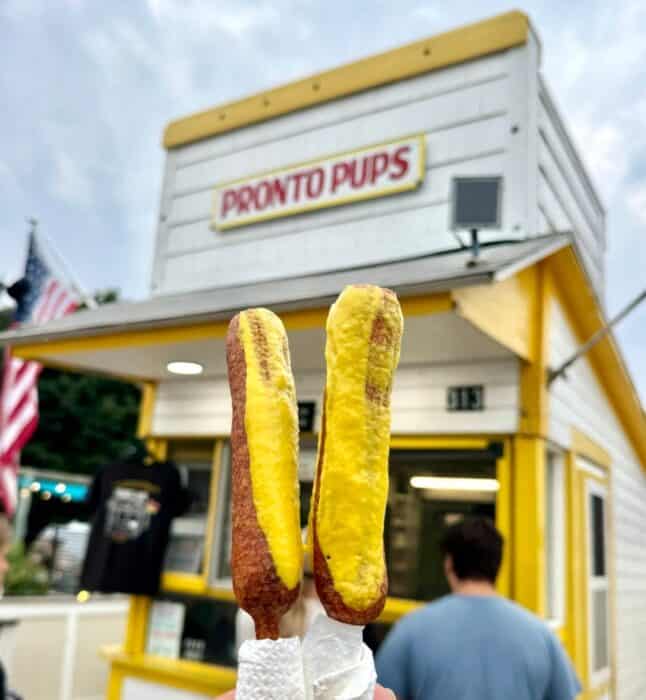 Pronto Pups Grand Haven MI