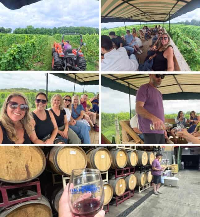 Tour and tasting with Fenn Valley Vineyards