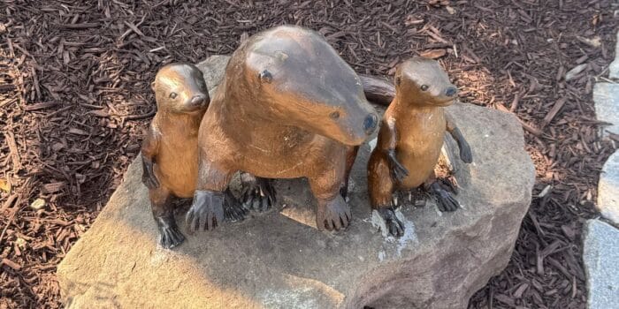 otter sculpture in Fredericksburg VA