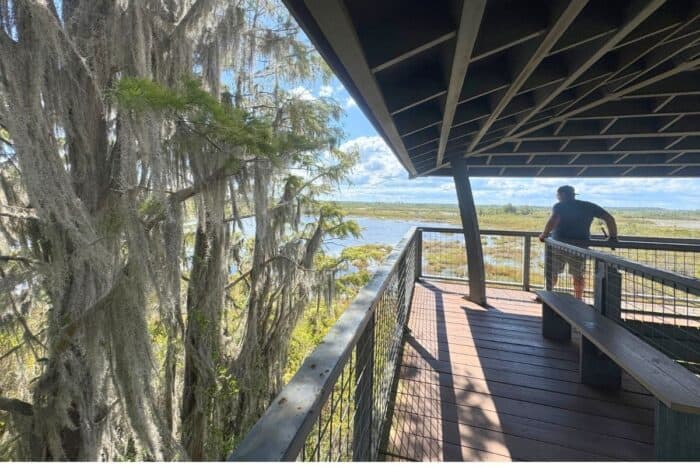 Observation Tower at Okefenokee National Wildlife Refuge