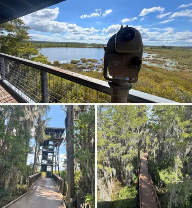 Observation Tower at Okefenokee National Wildlife Refuge