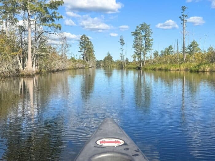 Okefenokee National Wildlife Refuge