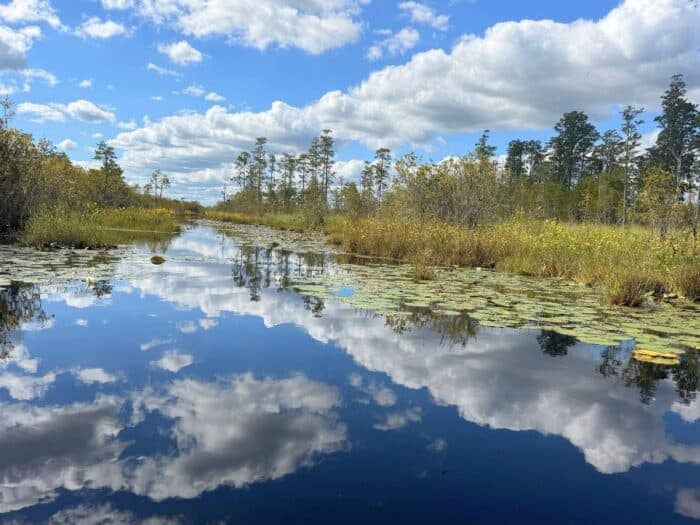 Okefenokee National Wildlife Refuge