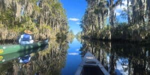Why Okefenokee National Wildlife Refuge Is Day Trip Worthy