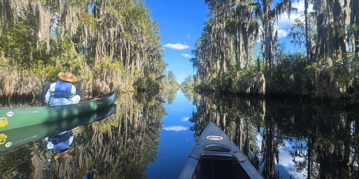 Why Okefenokee National Wildlife Refuge Is Day Trip Worthy