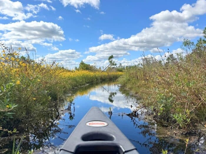 canoe at Okefenokee National Wildlife Refuge