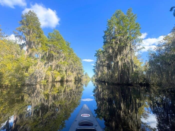canoe at Okefenokee National Wildlife Refuge