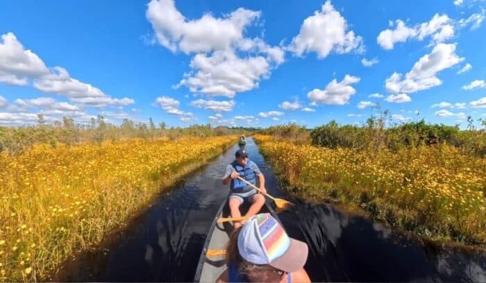 couple paddling at Okefenokee National Wildlife Refuge