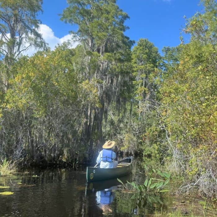 man canoeing Okefenokee National Wildlife Refuge