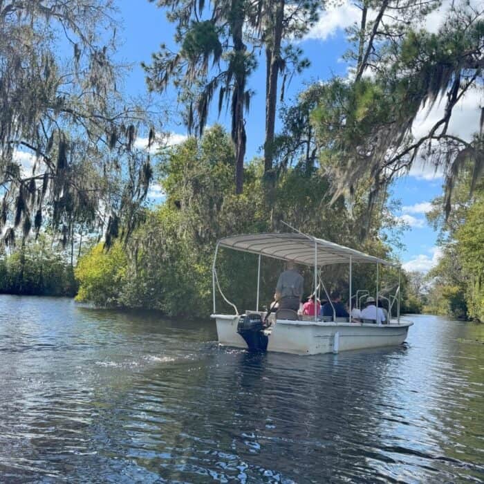 tour boat at Okefenokee National Wildlife Refuge