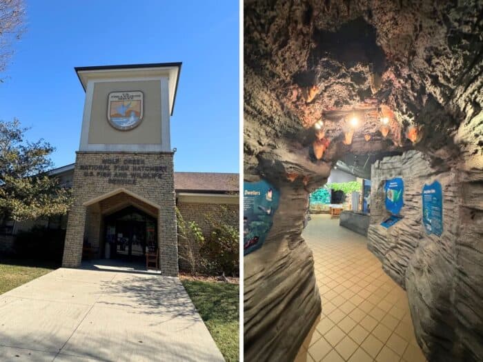 Wolf Creek National Fish Hatchery in Kentucky